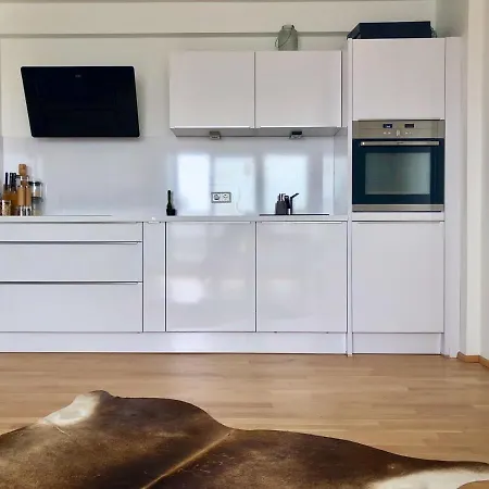 Exclusive Penthouse With Rooftop In The Apartment